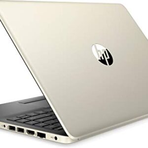 HP 14 Slim Laptop, 14" HD Display, Ryzen 3 3200U, AMD Radeon Vega 3 Graphics, 4GB, 128GB SSD, Pale Gold, 14-dk0024wm