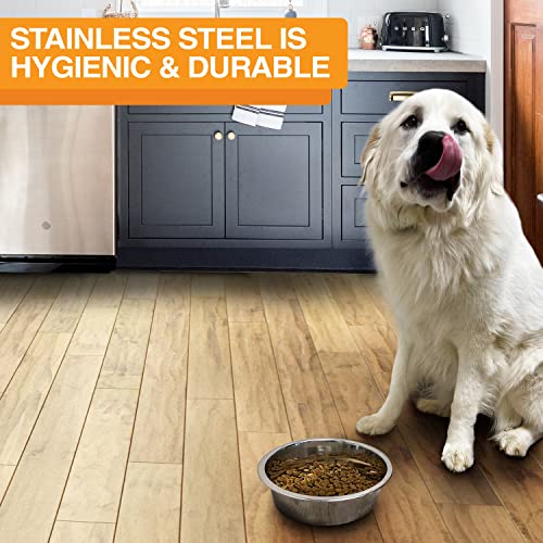 Neater Pet Brands Stainless Steel Dog and Cat Bowls (2 Pack) Neater Feeder Deluxe or Express Extra Replacement Bowl (Metal Food and Water Dish) (7 Cup)