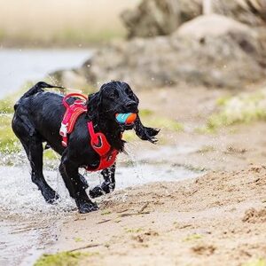 ChuckIt! Amphibious Fetch Balls, Set of 3