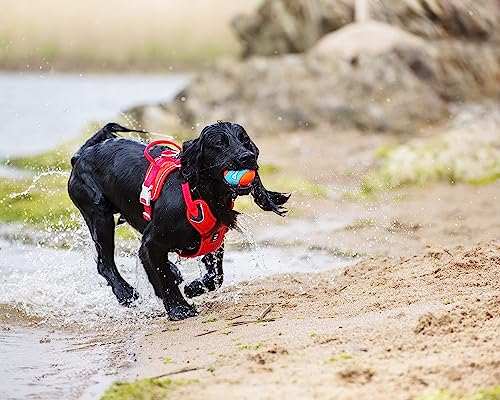 ChuckIt! Amphibious Fetch Balls, Set of 3