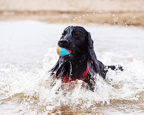 ChuckIt! Amphibious Fetch Balls, Set of 3