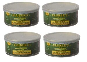 fluker's gourmet style canned grasshoppers 1.2 oz - pack of 4