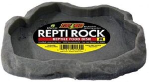 zoo med repti rock - reptile food dish medium (7.25" long x 5.9" wide) - pack of 12