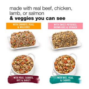 Beneful Purina High Protein Wet Dog Food Variety Pack, Prepared Meals & Chopped Blends - (16) 10 oz. Tubs