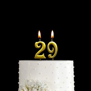 MAGJUCHE Gold 29th Birthday Numeral Candle, Number 29 Cake Topper Candles Party Decoration for Women or Men