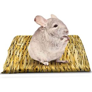 sungrow chinchilla grass mat, 8” x 11”, bunny foraging straw bedding floor mat for rabbit cages and nesting box sleeping, chew toy bed for guinea pig, squirrel, hamster, cat and small animal