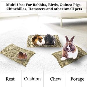 SunGrow Chinchilla Grass Mat, 8” x 11”, Bunny Foraging Straw Bedding Floor Mat for Rabbit Cages and Nesting Box Sleeping, Chew Toy Bed for Guinea Pig, Squirrel, Hamster, Cat and Small Animal