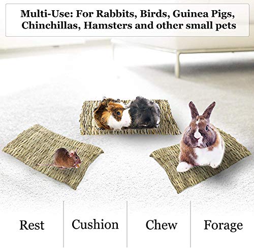 SunGrow Chinchilla Grass Mat, 8” x 11”, Bunny Foraging Straw Bedding Floor Mat for Rabbit Cages and Nesting Box Sleeping, Chew Toy Bed for Guinea Pig, Squirrel, Hamster, Cat and Small Animal