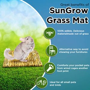 SunGrow Chinchilla Grass Mat, 8” x 11”, Bunny Foraging Straw Bedding Floor Mat for Rabbit Cages and Nesting Box Sleeping, Chew Toy Bed for Guinea Pig, Squirrel, Hamster, Cat and Small Animal