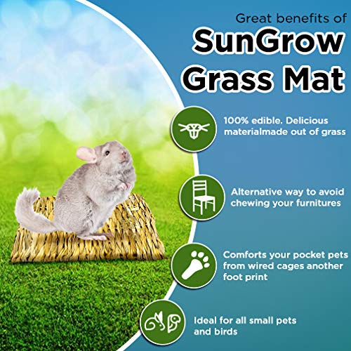 SunGrow Chinchilla Grass Mat, 8” x 11”, Bunny Foraging Straw Bedding Floor Mat for Rabbit Cages and Nesting Box Sleeping, Chew Toy Bed for Guinea Pig, Squirrel, Hamster, Cat and Small Animal