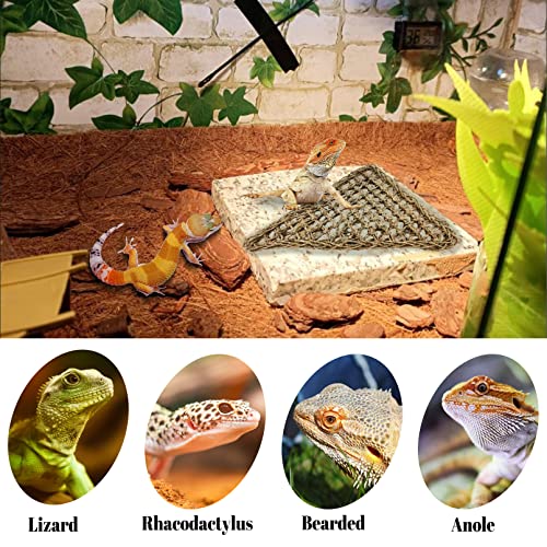 PIVBY Bearded Dragon Accessories Lizard Habitat Hammock Flexible Reptile Jungle Vines Leaves Decor with Suction Cups for Climbing, Chameleon, Lizards, Gecko, Snakes