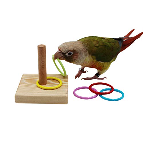 Retyion Wooden Bird Educational Toys Small Medium Parrot Intelligence Training Toys for Lovebird Parakeet Cockatiel Budgie (Rings Toys)