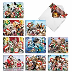 the best card company - variety pack of 20 christmas greeting cards with envelopes, humor holiday assortment for men and women (10 designs, 2 each) merry christmas to zoo am6652xsg-b2x10