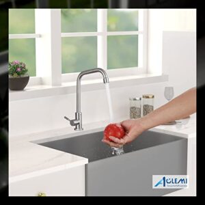 Aolemi Cold Only Water Kitchen Faucet Commercial Bar Tap Single Lever Handle 304 Stainless Steel Brushed Nickel Decked Mounted Single Hole Modern