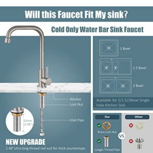 Aolemi Cold Only Water Kitchen Faucet Commercial Bar Tap Single Lever Handle 304 Stainless Steel Brushed Nickel Decked Mounted Single Hole Modern