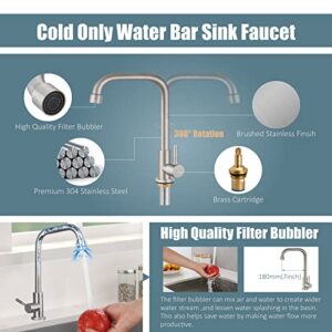 Aolemi Cold Only Water Kitchen Faucet Commercial Bar Tap Single Lever Handle 304 Stainless Steel Brushed Nickel Decked Mounted Single Hole Modern