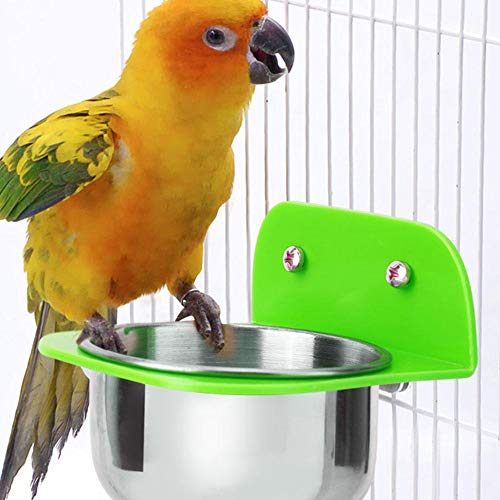 Bird Cage Feeder, Stainless Steel Food Water Bowls with Plastic Holder Parrot Feeding Bowls Cup for Macaw African Greys Budgies Parakeet Cockatiels Conure Lovebird Finch(Green)