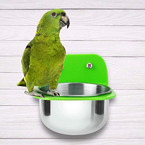 Bird Cage Feeder, Stainless Steel Food Water Bowls with Plastic Holder Parrot Feeding Bowls Cup for Macaw African Greys Budgies Parakeet Cockatiels Conure Lovebird Finch(Green)