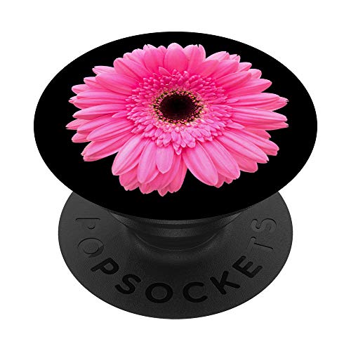 Pink Gerbera Daisy Flower Black Background PopSockets Swappable PopGrip