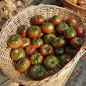 Gaea's Blessing Seeds - Tomato Seeds - Cherokee Purple Slicing Tomato - Non-GMO Seeds with Easy to Follow Planting Instructions - Open-Pollinated 96% Germination Rate