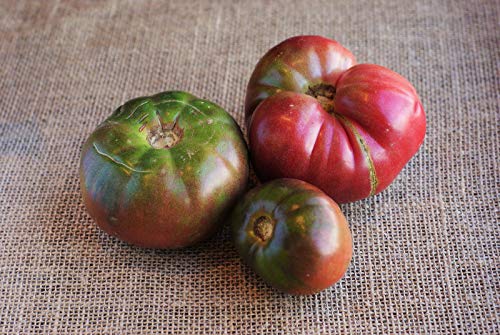 Gaea's Blessing Seeds - Tomato Seeds - Cherokee Purple Slicing Tomato - Non-GMO Seeds with Easy to Follow Planting Instructions - Open-Pollinated 96% Germination Rate
