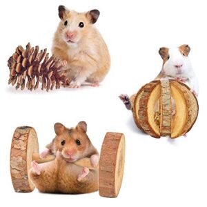 AsiFancy Hamster Chew Toys, Guinea Pig Rat Gerbil Chew Toys Accessories, Natural Wooden Watermelon Balls Bell Roller Teeth Care Molar Toy for Chinchilla Bird Bunny (1)