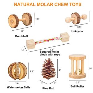 AsiFancy Hamster Chew Toys, Guinea Pig Rat Gerbil Chew Toys Accessories, Natural Wooden Watermelon Balls Bell Roller Teeth Care Molar Toy for Chinchilla Bird Bunny (1)