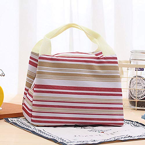 Lunch Bag Lunch Organizer for office Lunch Cooler with Zip Closure Foldable Lunch Tote Bag, Reusable Lunch Holder Insulated Lunch Container Picnic Bag for Men Women（Pink+Red）