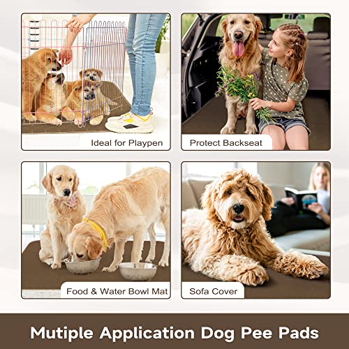 Paw Legend Washable Reusable Dog Pee Pads Super Absorbent (2 Pack) - Washable Reusable Puppy Training Pads | Quality Travel Pee Pads for Dogs | Absorbent and Odor Controlling