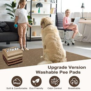 Paw Legend Washable Reusable Dog Pee Pads Super Absorbent (2 Pack) - Washable Reusable Puppy Training Pads | Quality Travel Pee Pads for Dogs | Absorbent and Odor Controlling