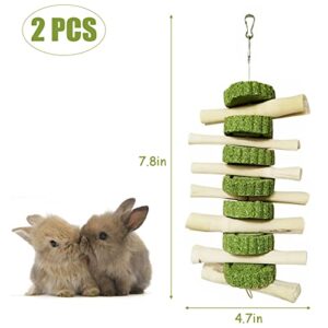 kathson Bunny Chew Toys for Teeth, Pet Snacks Molar Sweet Bamboo with Grass Cake for Hamster Chinchilla Guinea Pig Rabbit Rats(2 Packed)