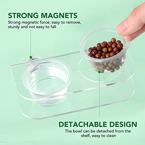 POPETPOP Magnetic Reptile Ledge - Reptile Food Dish Crested Gecko Feeding Ledge with 10PCS Feeding Cups Reptile Water Bowl Reptile Feeding Dish for Spider Lizard Snake