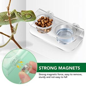 POPETPOP Magnetic Reptile Ledge - Reptile Food Dish Crested Gecko Feeding Ledge with 10PCS Feeding Cups Reptile Water Bowl Reptile Feeding Dish for Spider Lizard Snake