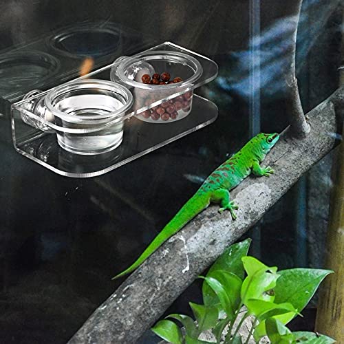 POPETPOP Magnetic Reptile Ledge - Reptile Food Dish Crested Gecko Feeding Ledge with 10PCS Feeding Cups Reptile Water Bowl Reptile Feeding Dish for Spider Lizard Snake