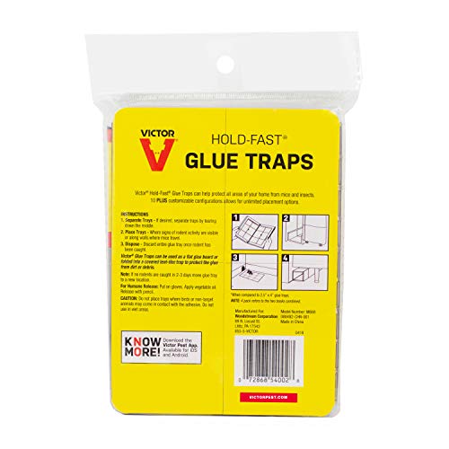 Victor M668 Hold-Fast Mouse Glue Traps,Black