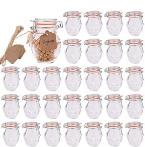 encheng small spice jars, glass jars with airtight lids 4 oz and leak proof rubber gasket,small mason jars with hinged lids for kitchen,mini storage containers with twine and tags labeling 30 pack