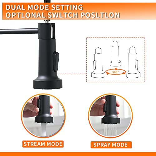 OWOFAN Black Kitchen Faucet Contemporary Spring Kitchen Sink Faucet with Pull Down Sprayer Single Handle Pull Out Kitchen Faucets with Deck Plate 866055R