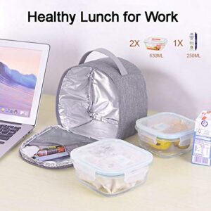 KEAIDUO Small Lunch Bag for Women Men Mini Insulated Lunch Box Portable Cooler Bag Reusable Snack Bag Adult Lunch Pail Petty Food Containers Grey