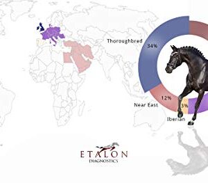 Etalon Diagnostics Horse DNA Test, Genetic Testing Plus Ancestry (65+ Traits) - Identify Equine Breed Composition & DNA - Test for Coat Color, Diseases, Abilities - MiniPanel Plus + Ancestry