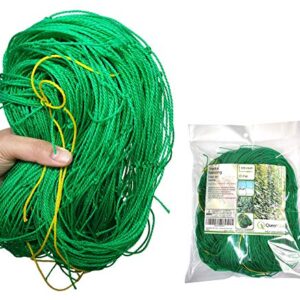 QueenBird Trellis Netting - Heavy Duty Garden Trellis Netting for Climbing Plants - 5.9 Feet X 16.4 Feet -Very Strong Support for Vegetables, Clematis, Cucumber,Tomatoes and Vine Plants