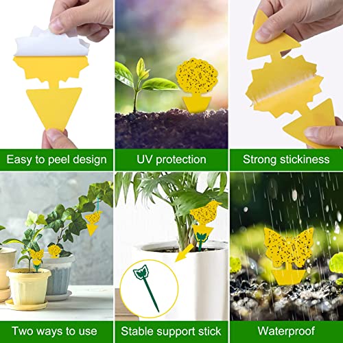72 Pack Sticky Traps Indoor, Plant Trap Fungus Gnat Trap for House Plant, Gnat Killer Indoor and Outdoor, Bug Killer Fruit Fly Trap Non-Toxic