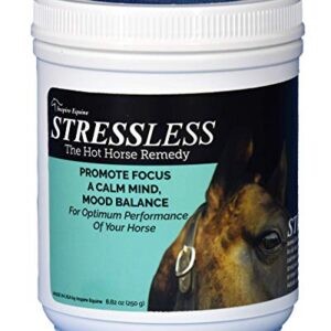 StressLess Hot Horse Supplement - 60 Day Supply - Promotes Calm & Focus - All Natural