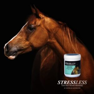 StressLess Hot Horse Supplement - 60 Day Supply - Promotes Calm & Focus - All Natural