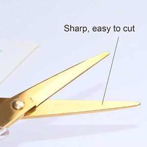 Stylish Acrylic Gold Multipurpose Scissors Stainless Steel 6.3 Inches Office Scissors Desktop Stationery for Cutting Heavy Duty Leather Arts Fabric Crafts Scissors (Gold)