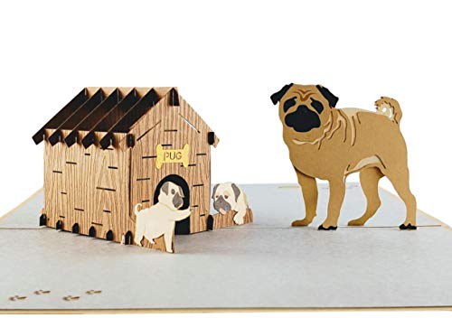 iGifts And Cards Happy Pug Family 3D Pop Up Greeting Card – Birthday, Friendship, Thank You, Congratulations, Celebration, Super Cute, Dog, Puppies, Card For Dog Lovers