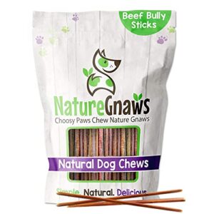 nature gnaws super skinny bully sticks for small dogs - premium natural beef dental bones - tasty thin dog chew treats for toy breeds & puppies - rawhide free 40 count (pack of 1)