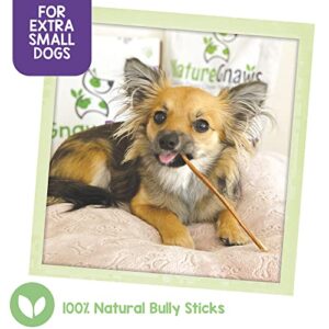 Nature Gnaws Super Skinny Bully Sticks for Small Dogs - Premium Natural Beef Dental Bones - Tasty Thin Dog Chew Treats for Toy Breeds & Puppies - Rawhide Free 40 Count (Pack of 1)