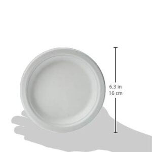 Amazon Basics Compostable Plates, 6-Inches, 125 Count