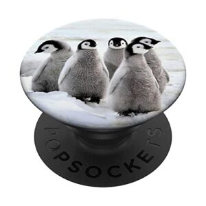 Penguin Cute Animal PopSockets Standard PopGrip