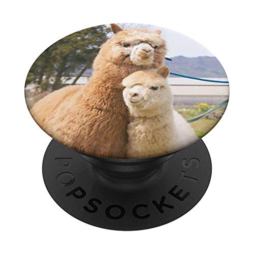 Love Alpacas PopSockets Grip and Stand for Phones and Tablets